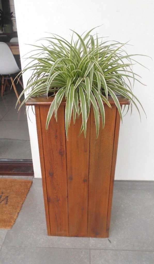 URGENT HAUTE JARDINIERE 75 CM EN BOIS AVEC PLANTE, Comme neuf, Enlèvement, Intérieur, Autres formes