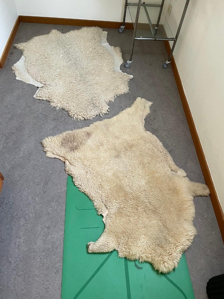 2 x schapenvacht, Gebruikt, Wit, Ophalen of Verzenden, Schapenvacht