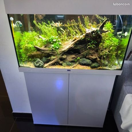 Aquarium juwel rio 125, Dieren en Toebehoren, Ophalen, Pomp, Zo goed als nieuw, Juwel