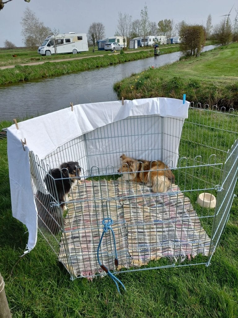 Puppyren, Enlèvement, Utilisé