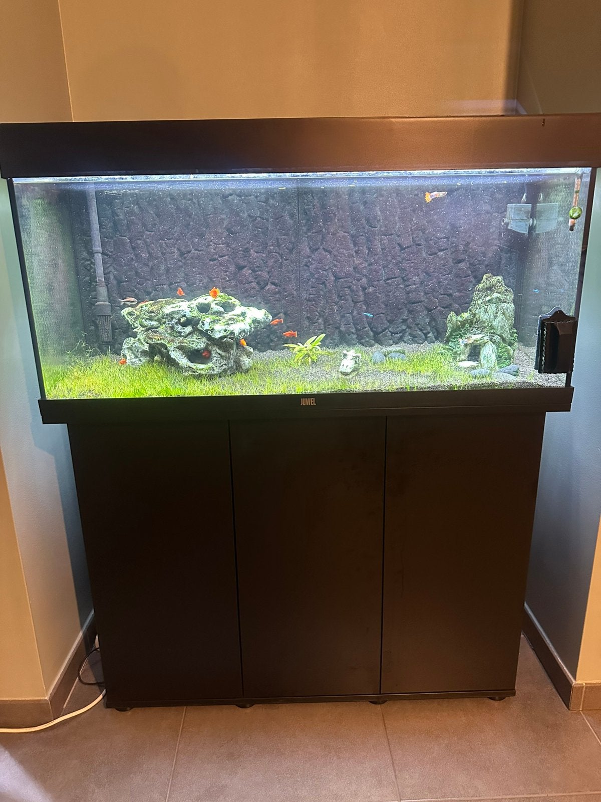 Juwel rio 180l, Dieren en Toebehoren, Vissen | Aquaria en Toebehoren, Ophalen, Pomp, Zo goed als nieuw, Juwel