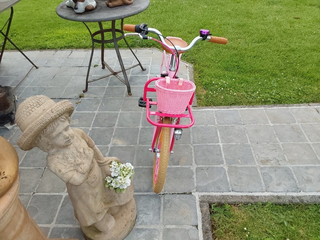 Meisjesfiets, Ophalen, Zo goed als nieuw, 22 inch, Versnellingen