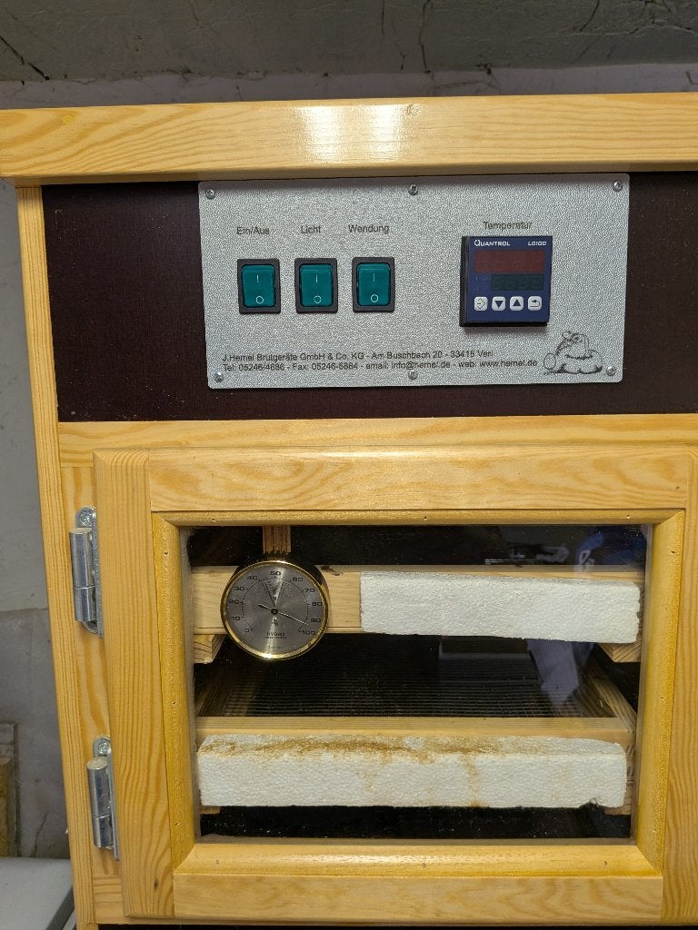 volautomaat broedmachine hemel 160b, Dieren en Toebehoren, Ophalen, Zo goed als nieuw, Broedmachine