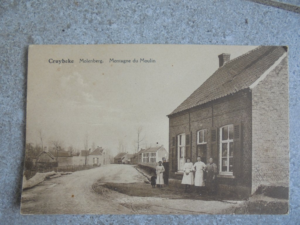 Oude onbeschreven postkaart Cruybeke Molenberg, Verzamelen, Ophalen of Verzenden