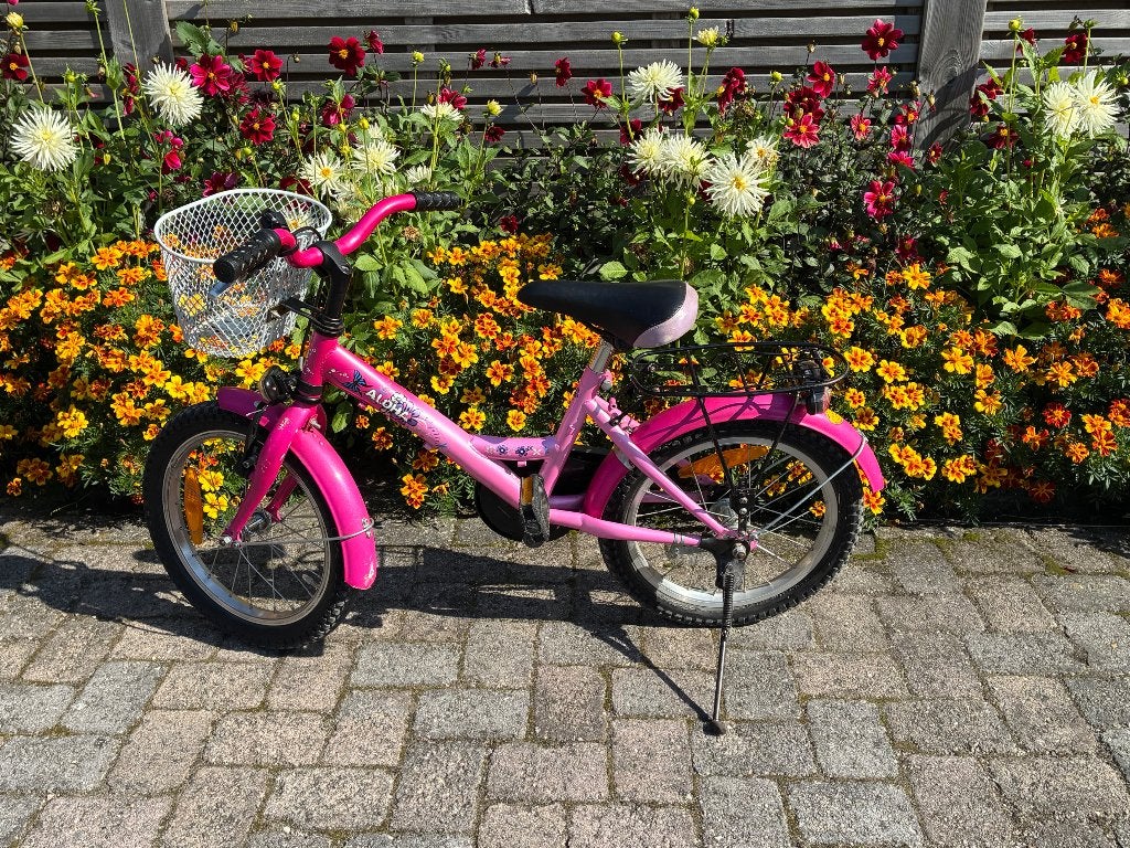 Kinderfiets, Fietsen en Brommers, Ophalen, Terugtraprem, Xtract, 16 tot 20 inch