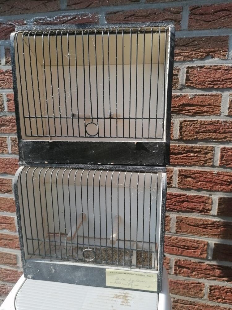 tentoonstellings kooien, Dieren en Toebehoren, Ophalen, Gebruikt, Hout, Vogelkooi