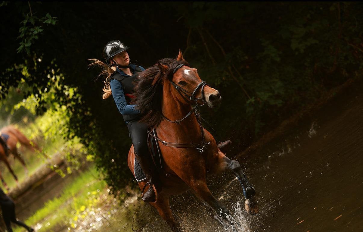 Knappe New Forest ruin, Avec pedigree, 11 ans ou plus, Hongre, Poney D (1.37 m à 1.48m)