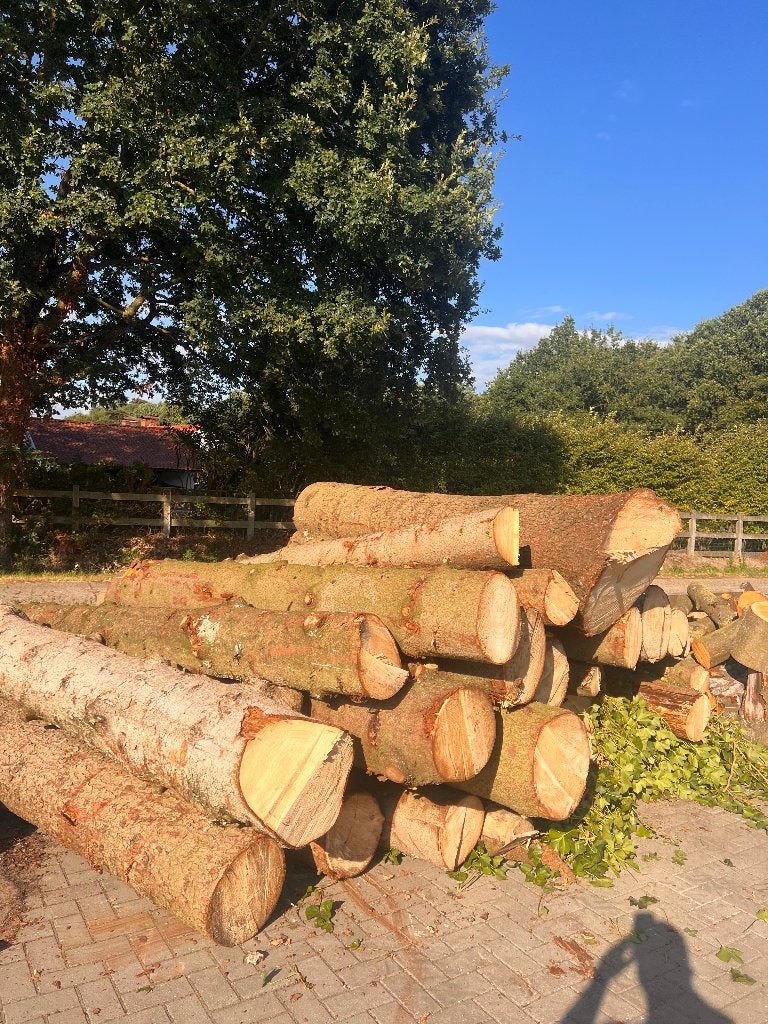 Fijnspar op stam brandhout, 6 m³ ou plus, Enlèvement, Autres essences de bois, Troncs d'arbres