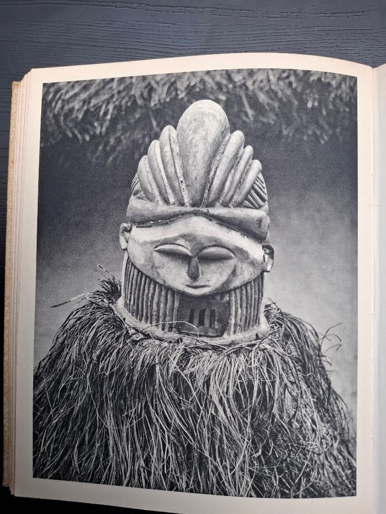 Dr. Paul Julien - Kampvuren langs den evenaar 1940 - Afrika, Livres, Récits de voyage, Enlèvement ou Envoi, Afrique