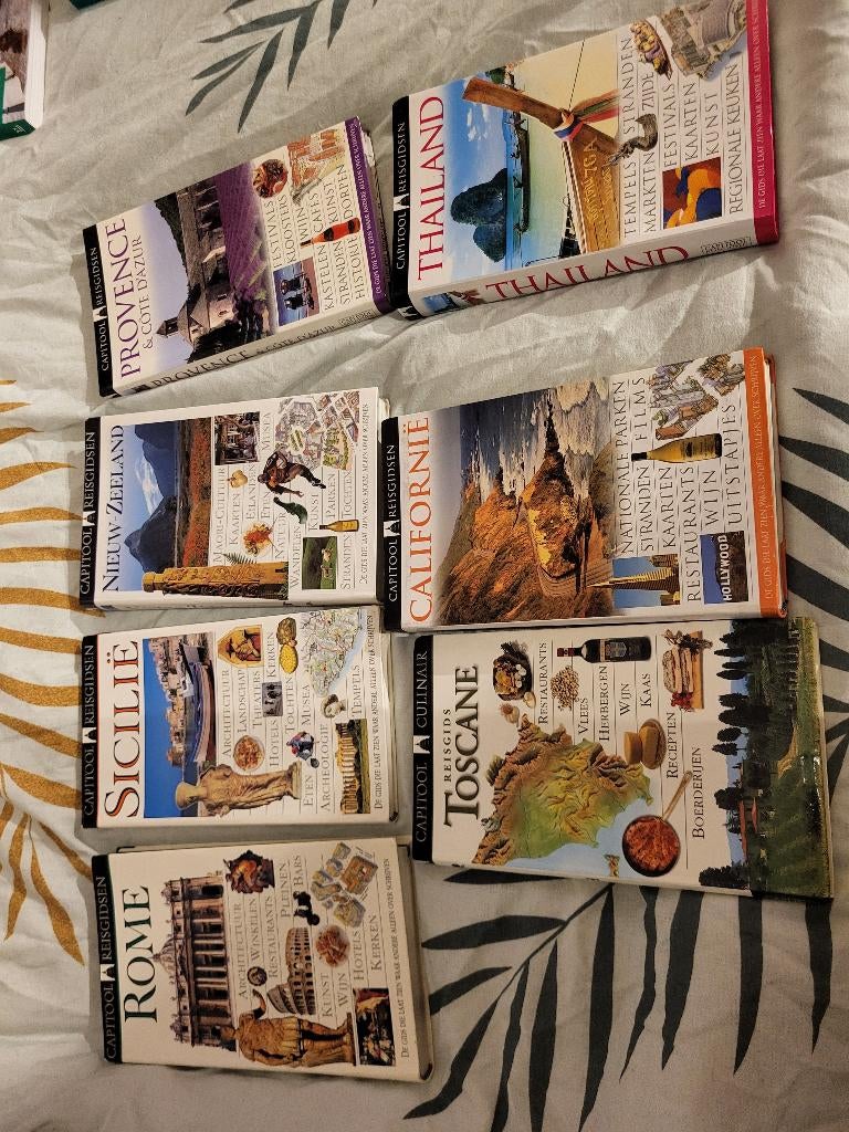 Reisgidsen Capitool/Michelin/Lonely Planet, Boeken, Ophalen, Gelezen, Capitool