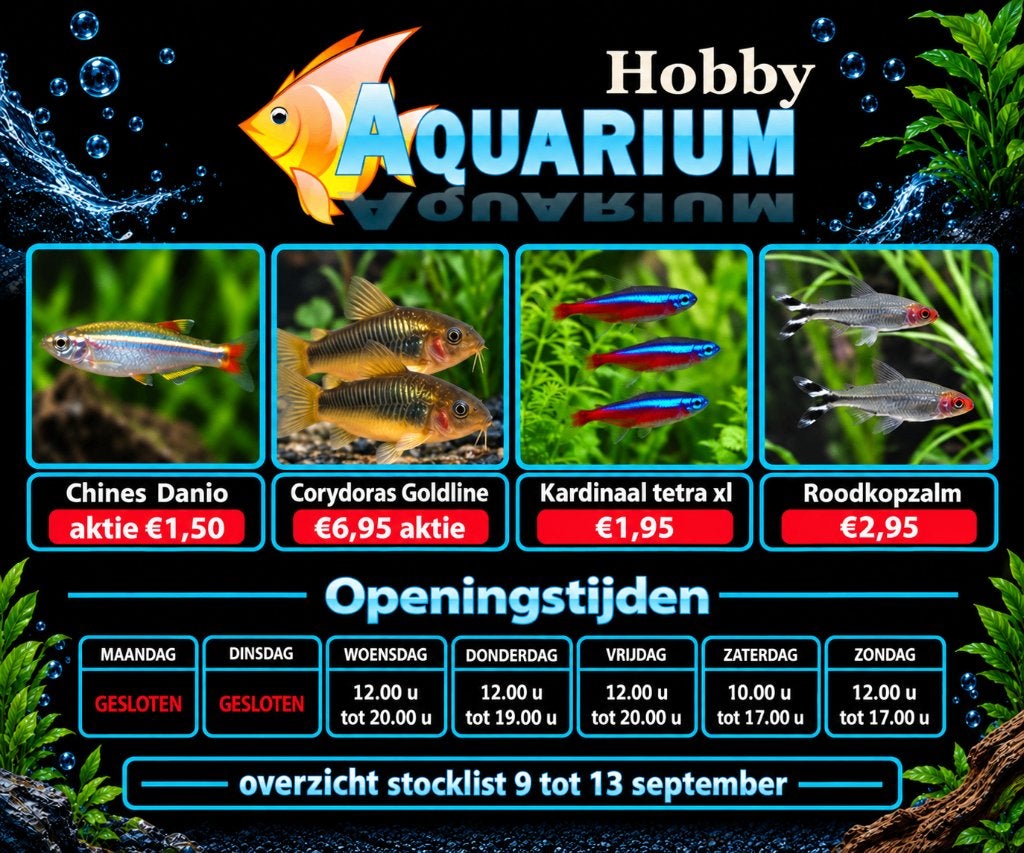 Megadeals vissen/garnalen overzicht 9 tot 13 september, Poisson, Poisson d'eau douce, Banc de poissons