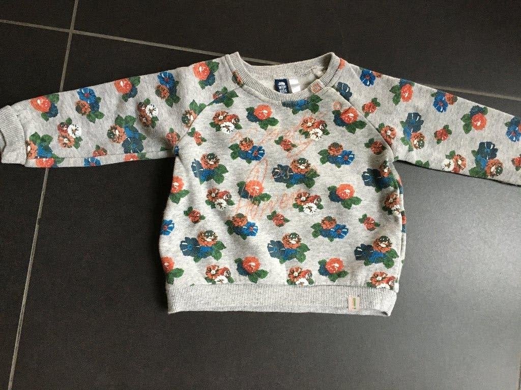 Pull of sweater WSP! maat 74, WSP!, Ophalen of Verzenden, Zo goed als nieuw, Truitje of Vestje