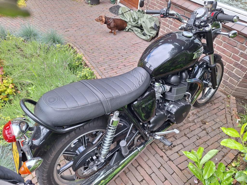 Triumph Bonneville T100, Permis Moto A, Tourisme, Plus de 35 kW, 2 cylindres