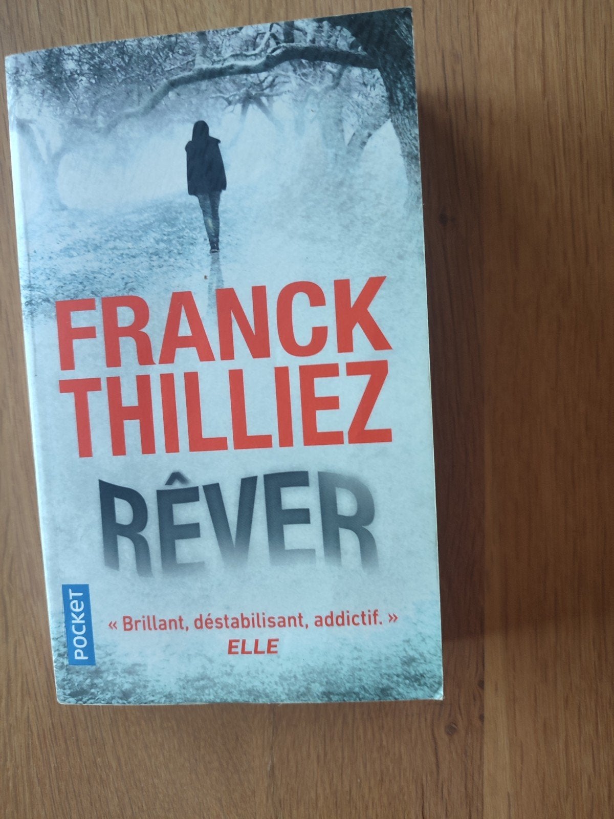 FRANCK THILLIEZ - REVER, Livres, Enlèvement, FRANCK THILLIEZ