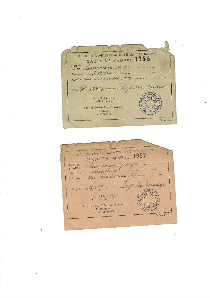 Ligue des Familles Nombreuses de Belgique, Collections, Collections Autre, Envoi, Utilisé