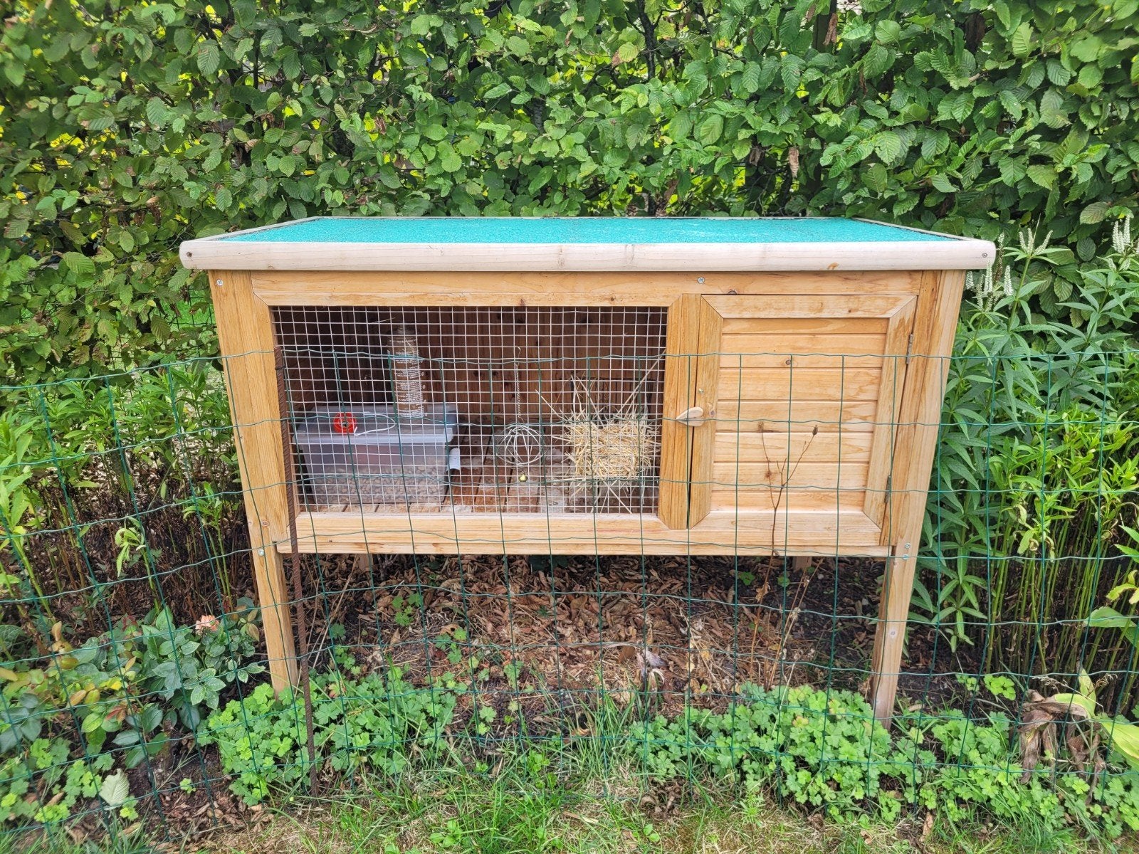 knaagdieren hok, Animaux & Accessoires, Rongeurs & Lapins | Cages & Clapiers, Enlèvement, Niche, Cobaye