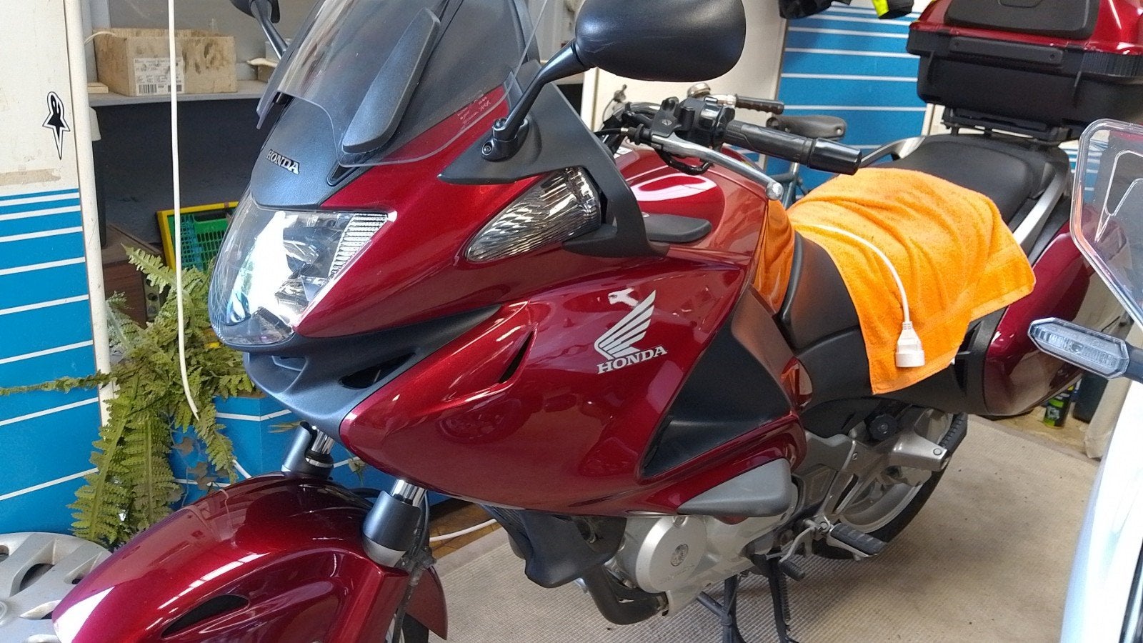Honda, Motos, Enlèvement