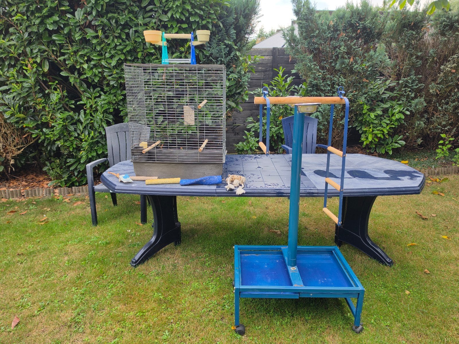 Complete vogelkooi set + verrijdbare staander + accessoire, Ophalen, Vogelkooi