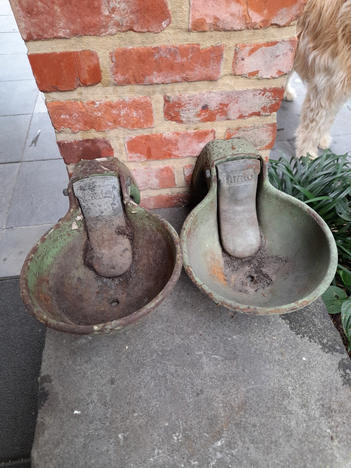 Oude veedrinkbak, nu plantenbak, Ophalen