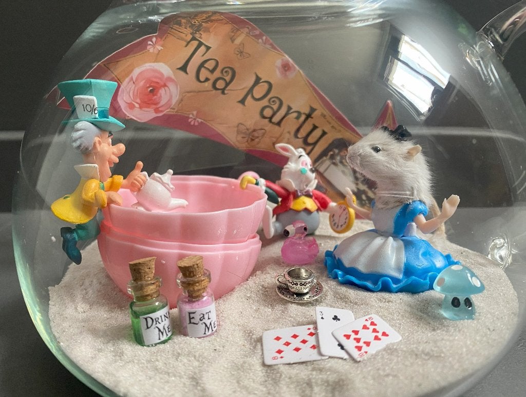 Alice TeaParty - taxidermie muis - Alice in Wonderland, Ophalen of Verzenden
