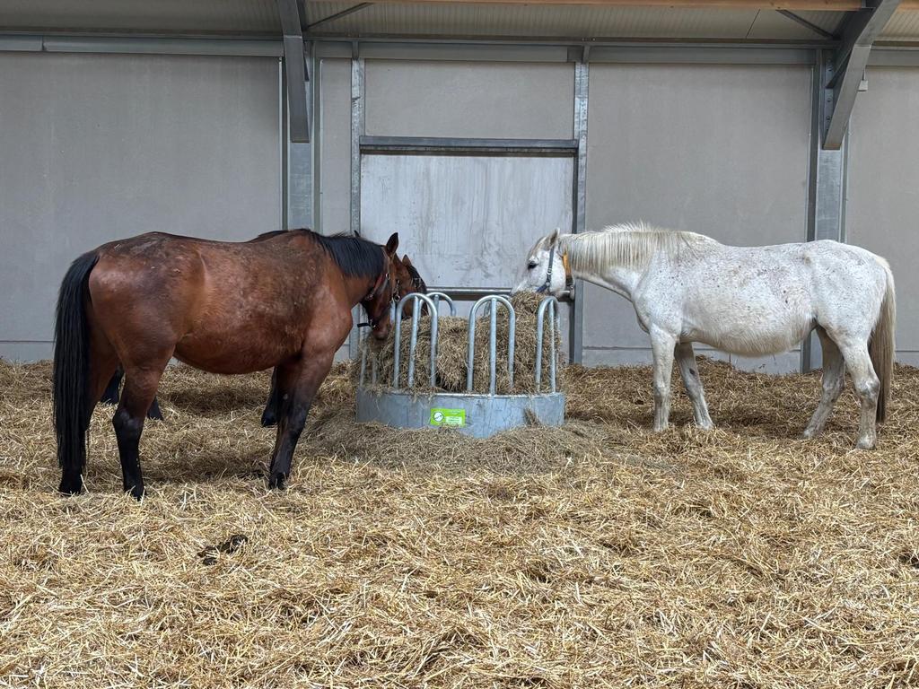 Hooiruif rond 8 voederplaatsen