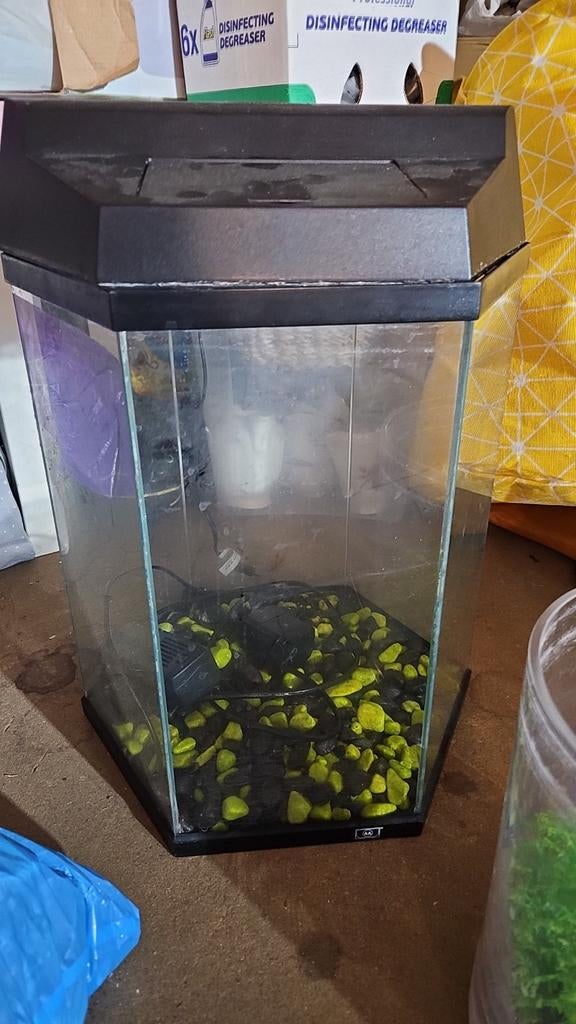 Aquarium, Animaux & Accessoires