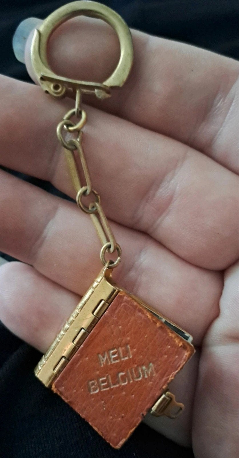 Uniek Meli park souvenir., Verzamelen, Sleutelhangers, Ophalen of Verzenden