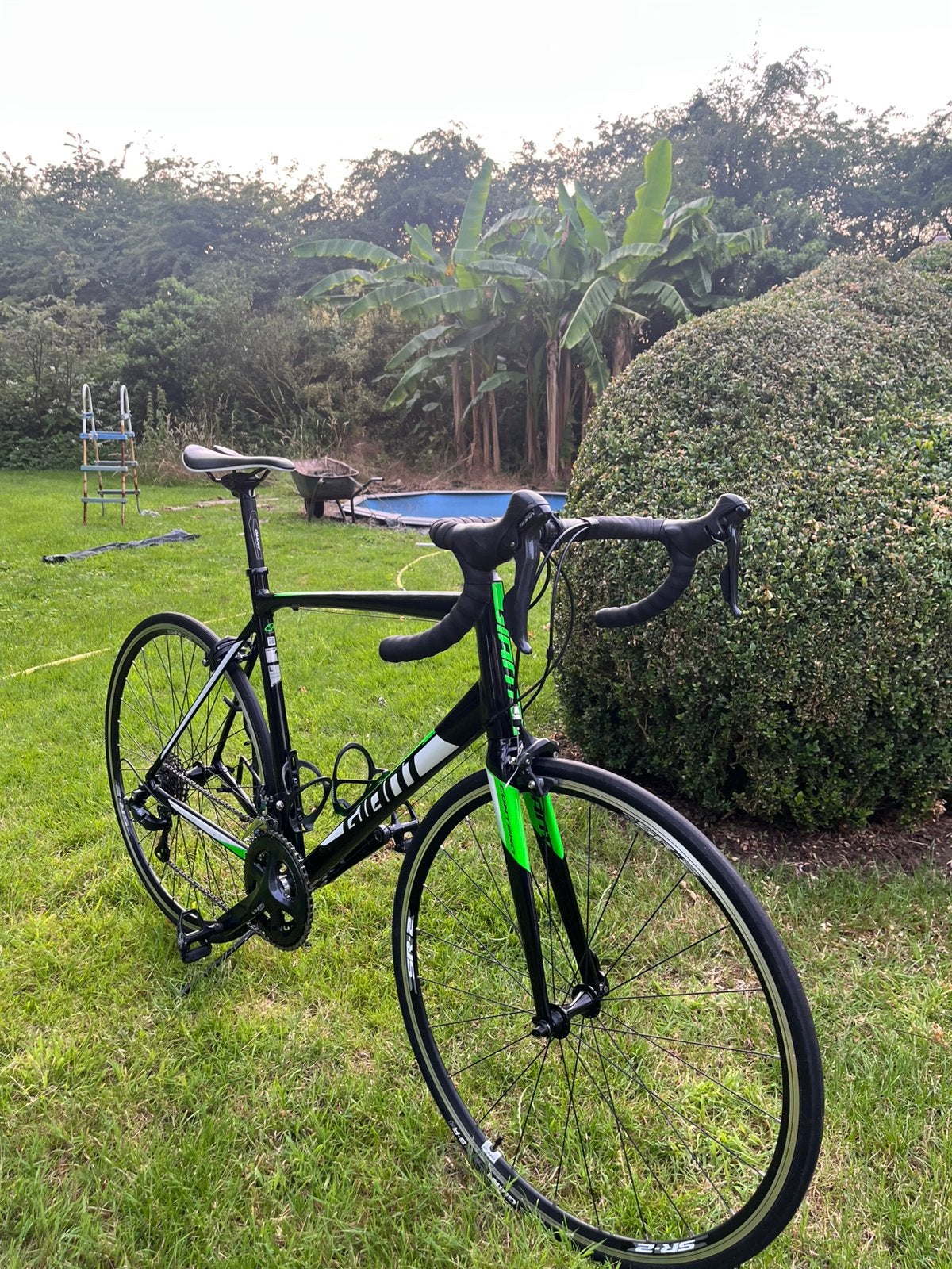 Giant compact road maat L, Ophalen, Zo goed als nieuw, Giant