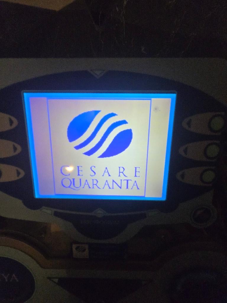 Machine pro d’électrostimulation Cesare Quaranta, Enlèvement
