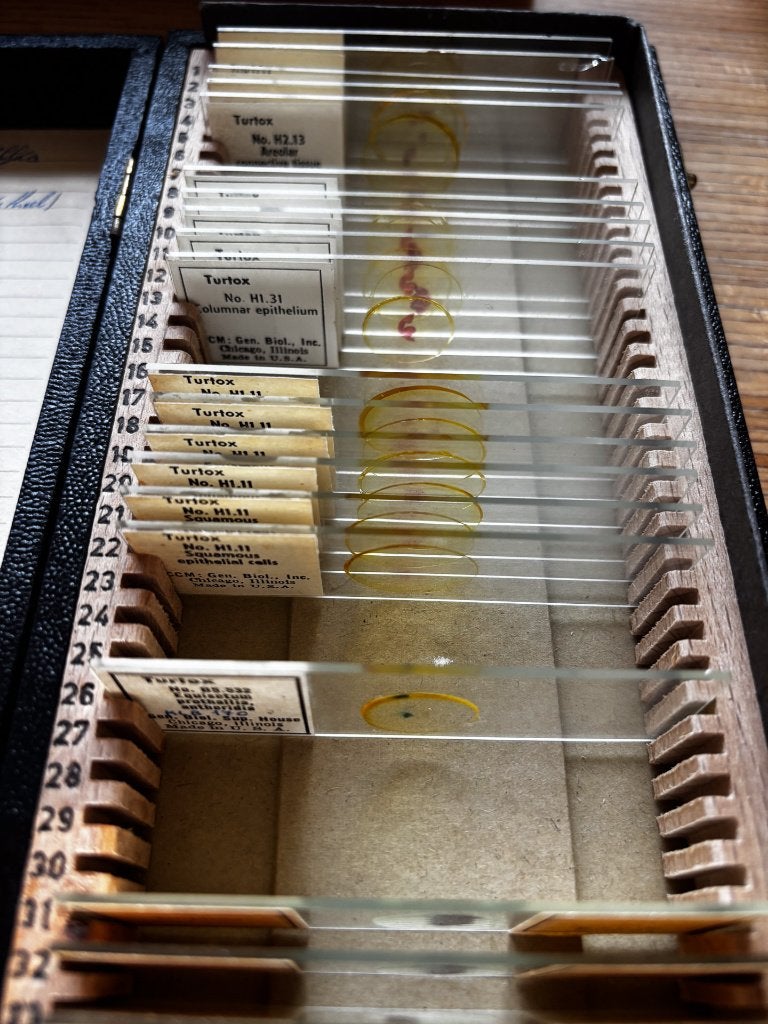 Doos microscooppreparaten, veel Turtox (weefsels/histologie), Ophalen of Verzenden