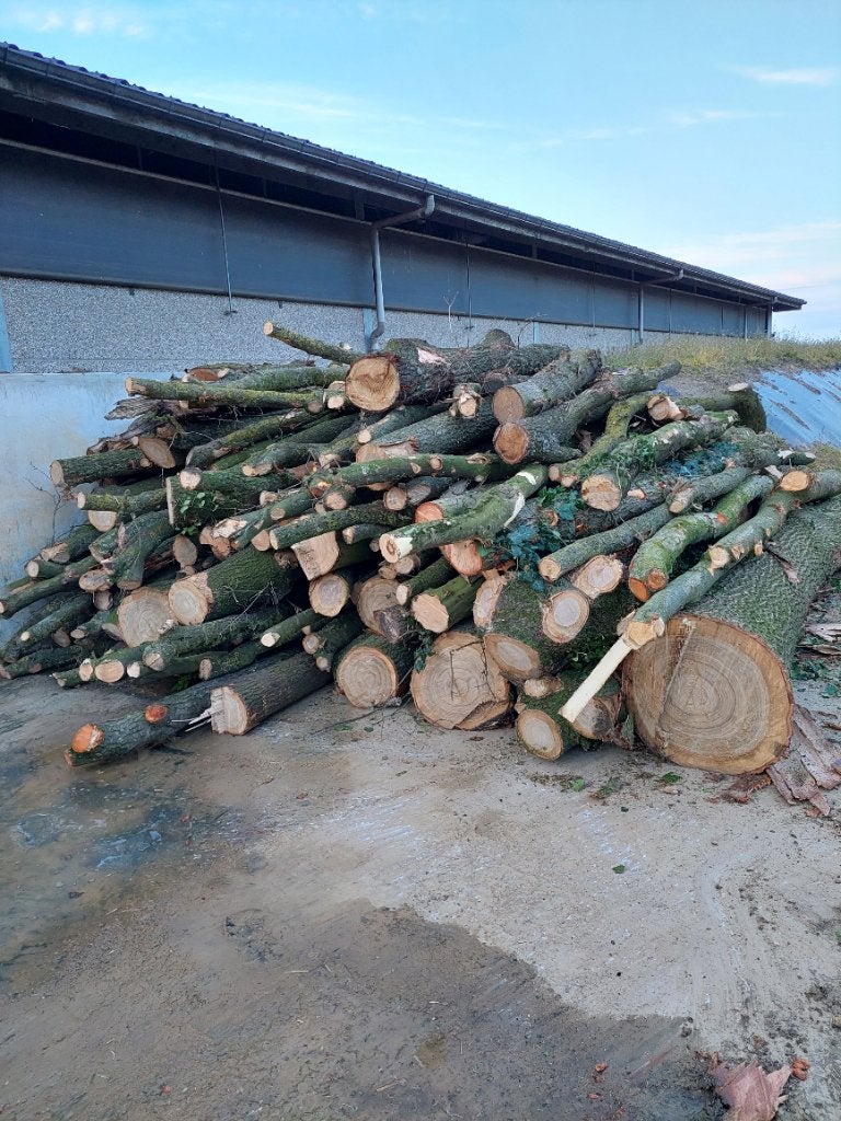 Haardhout, 6 m³ of meer, Ophalen, Eikenhout, Stammen