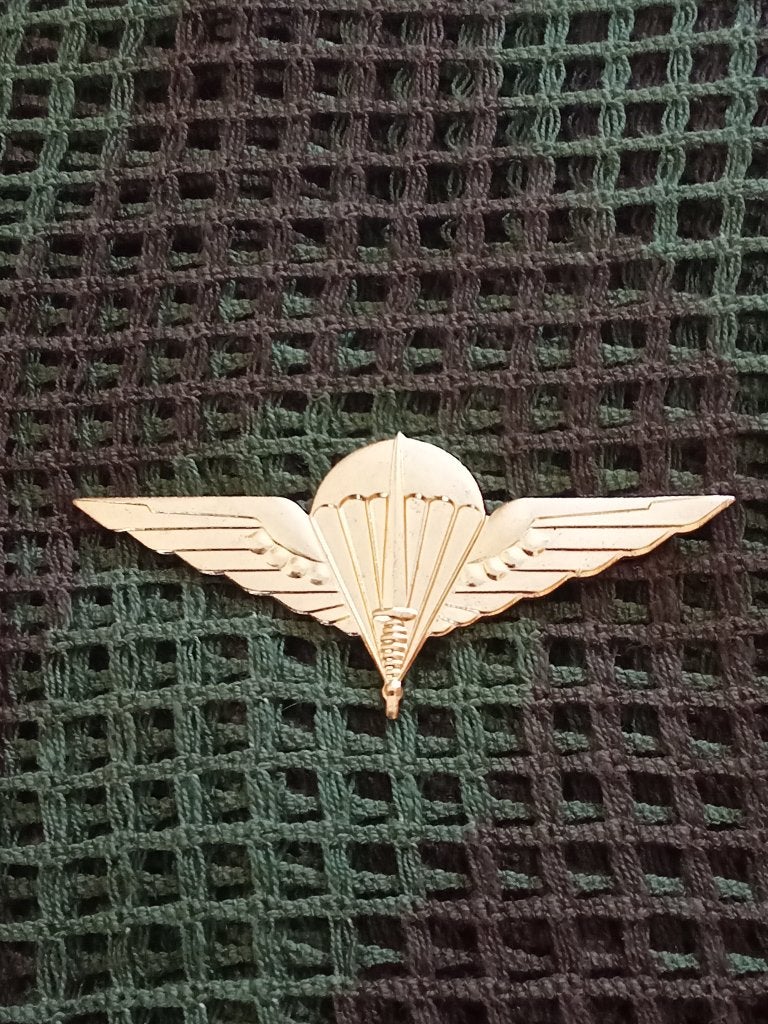 Insigne de béret para commando belge en bronze, Collections, Enlèvement ou Envoi