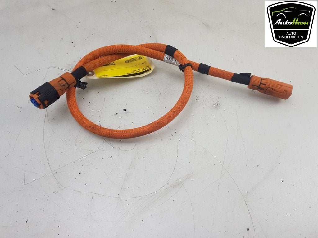 CÂBLE HT (HAUTE TENSION) BMW X5 (G05) (01-2018/03-2023), Dhr. J. Ham, Administratie@autoham.nl, Utilisé, BMW