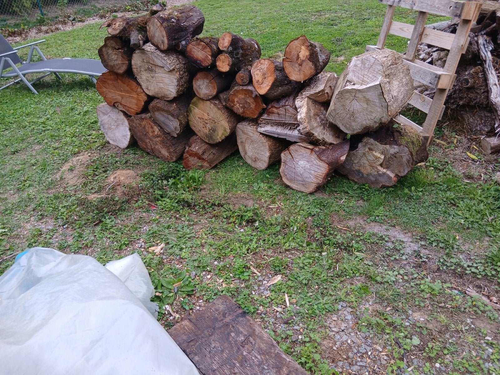 Bois de chauffage., Enlèvement