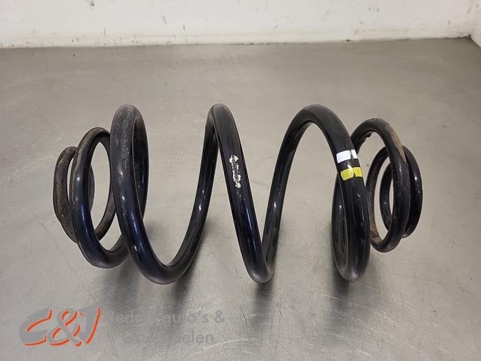 Ressort de flexion arrière d'un Opel Vivaro, -, Opel, 3 mois de garantie, Utilisé