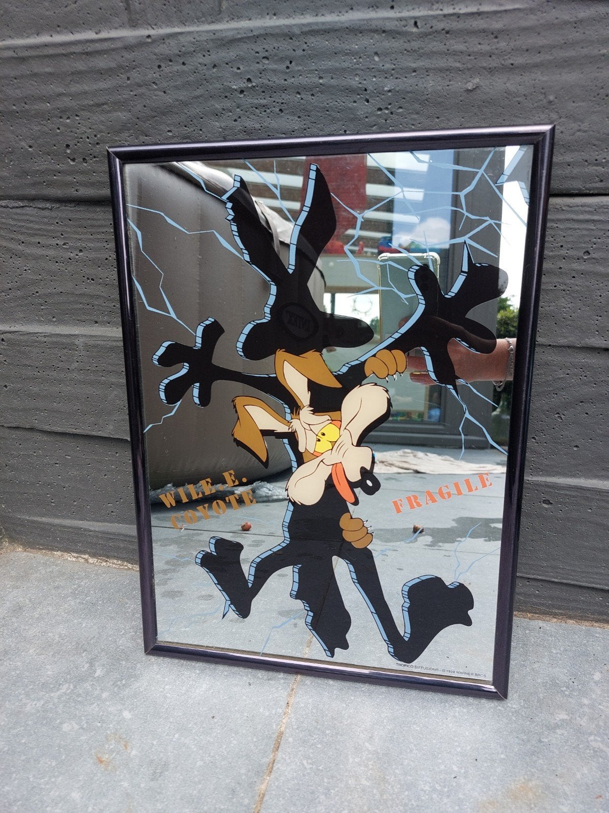 cadre miroir coyote