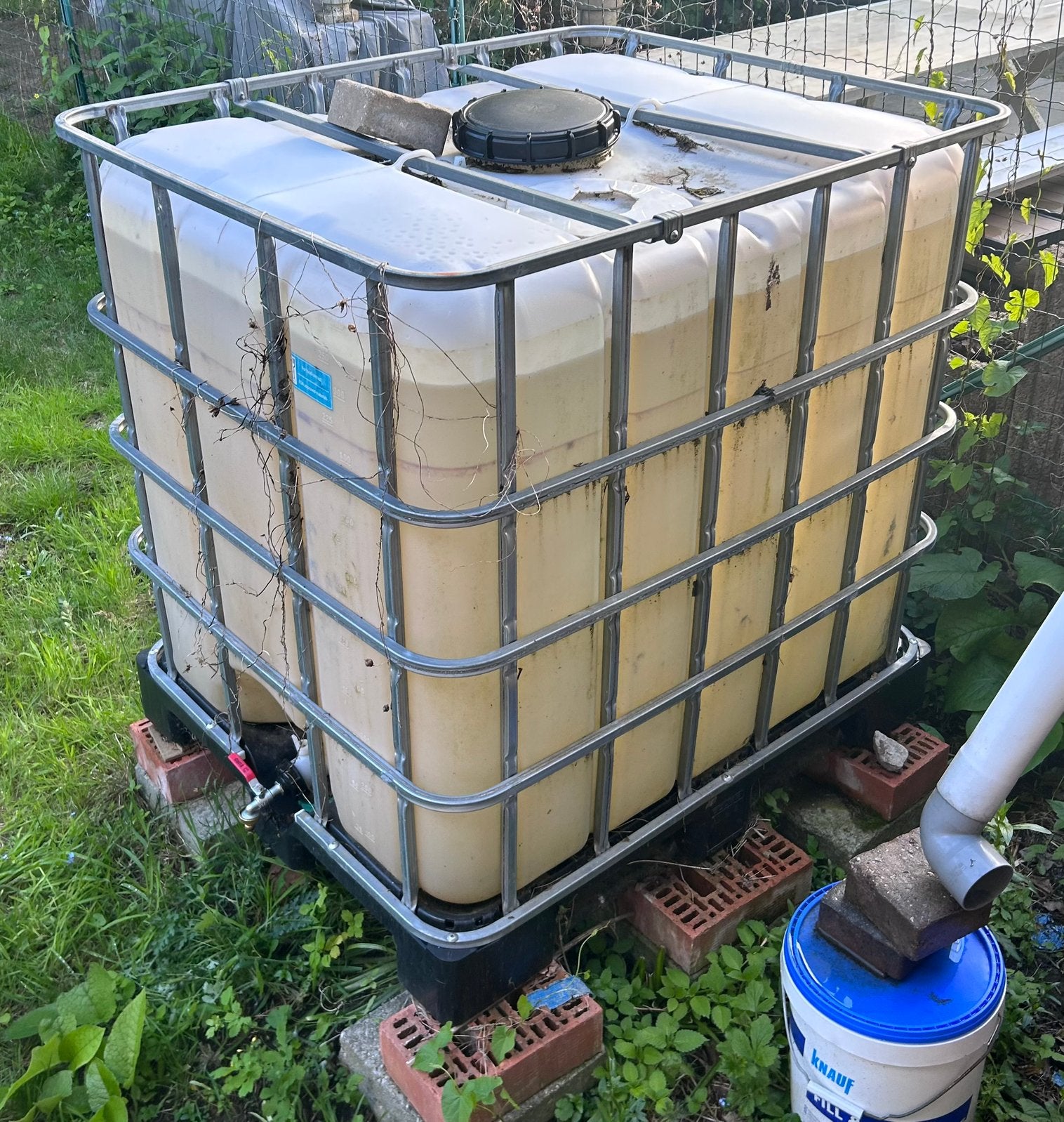 IBC Container met kraan, Tuin en Terras, Regentonnen, Ophalen, Kunststof, Gebruikt, Met kraantje
