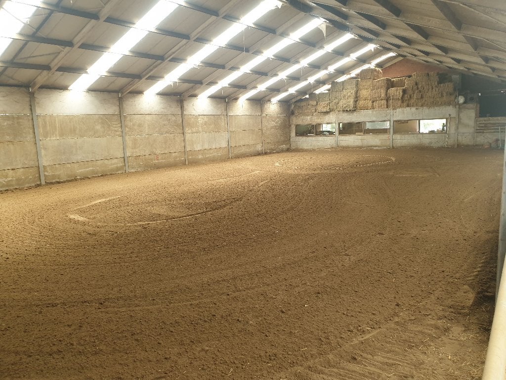 Paardenstallen met binnenpiste tehuur, Animaux & Accessoires, Mise à l'étable, 2 ou 3 chevaux ou poneys