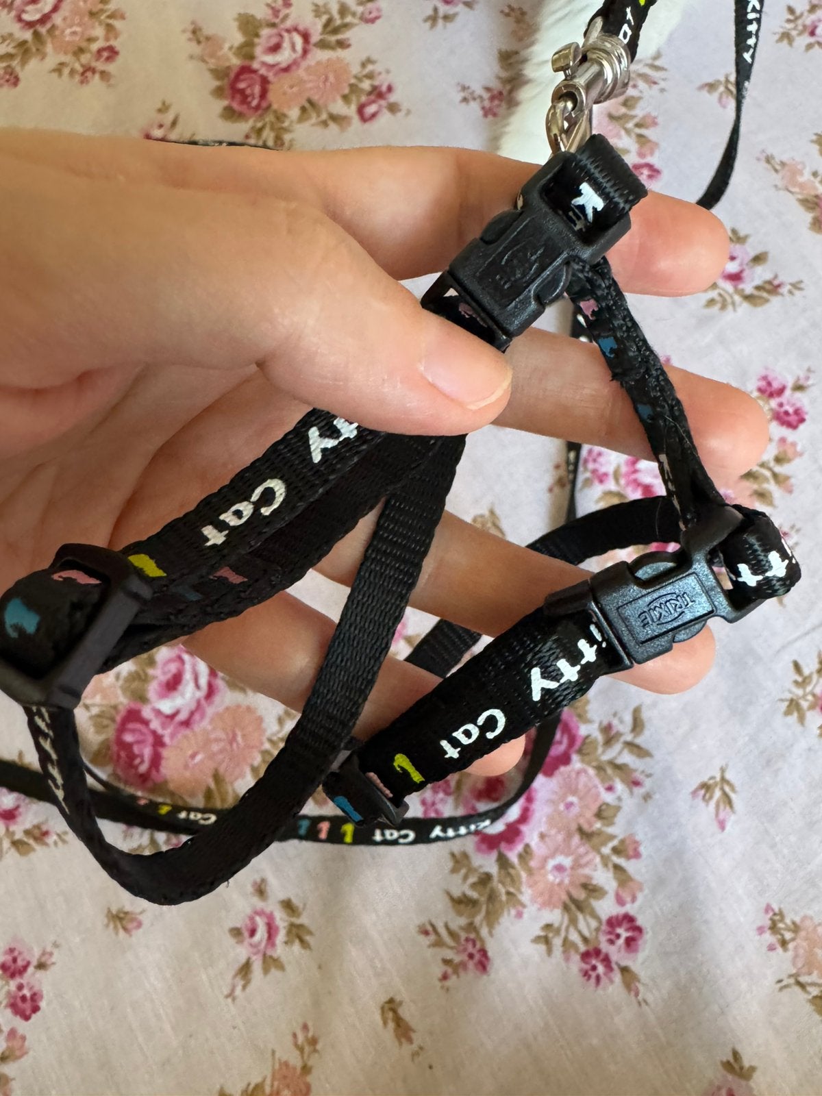 harnais pour chat, Animaux & Accessoires, Enlèvement, Comme neuf