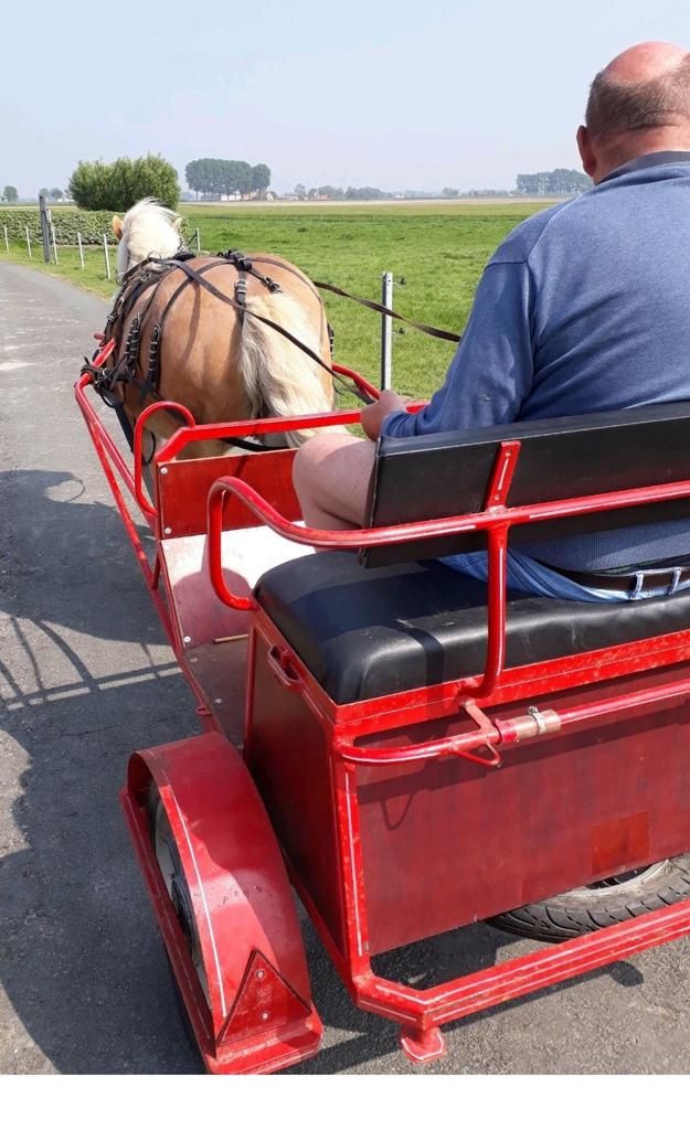 Ponykoets met ledertuig