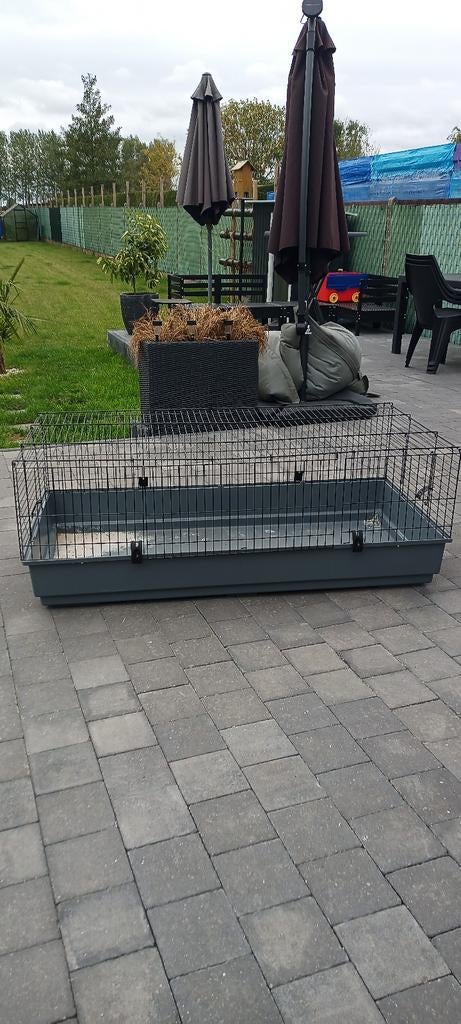 2 grote dierenhokken, cavia, konijn, knaagdieren, Ophalen