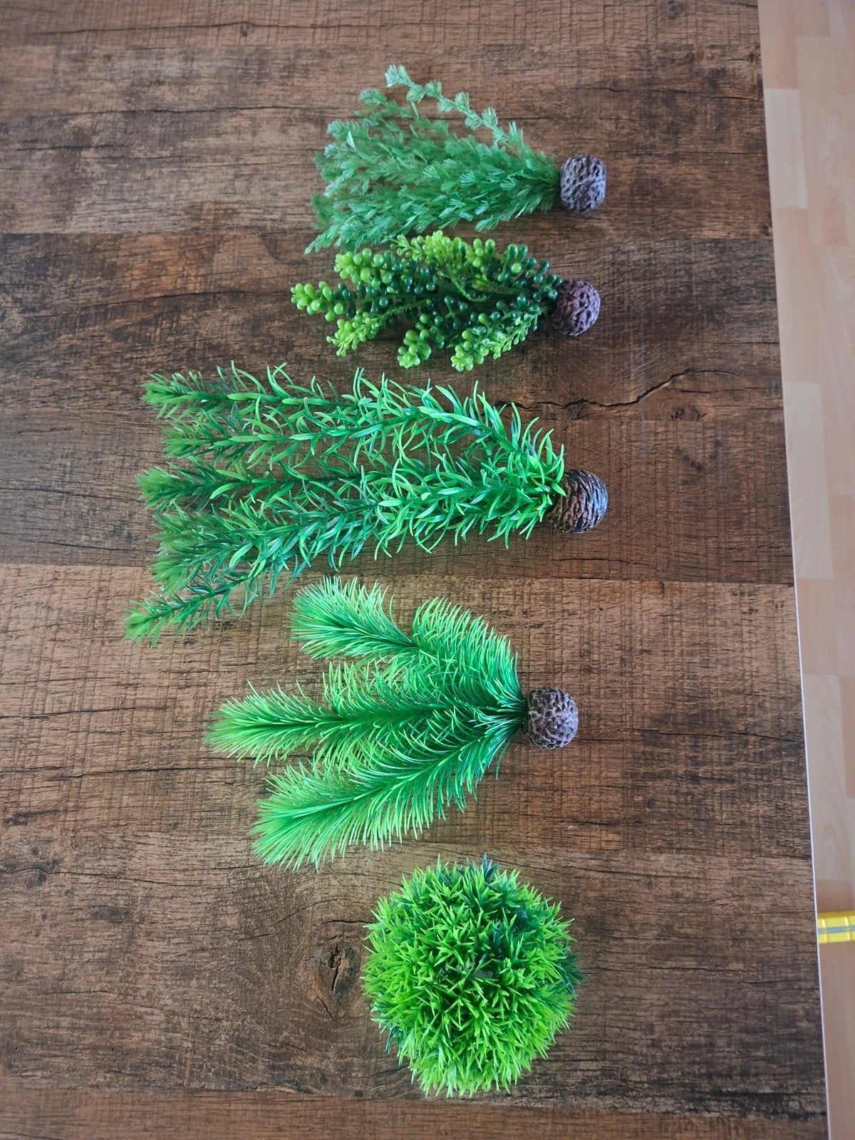 Aquarium planten, Enlèvement ou Envoi, Neuf, Plante(s), Pierre ou Bois