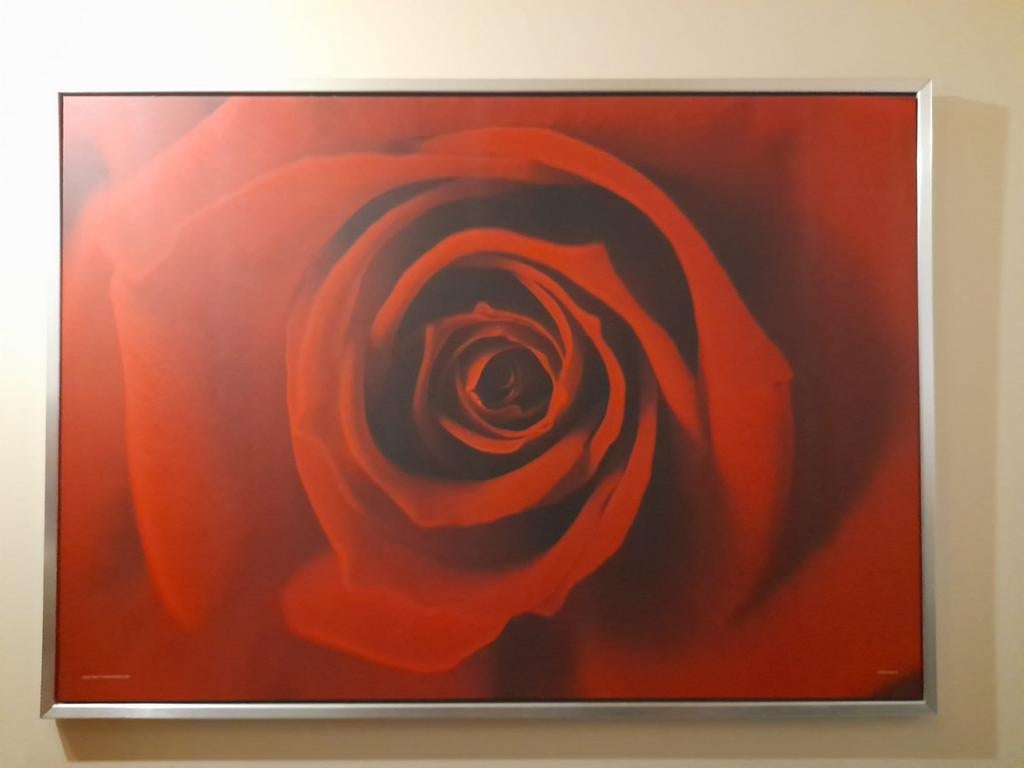 Grote kader roos, Antiek en Kunst, Ophalen
