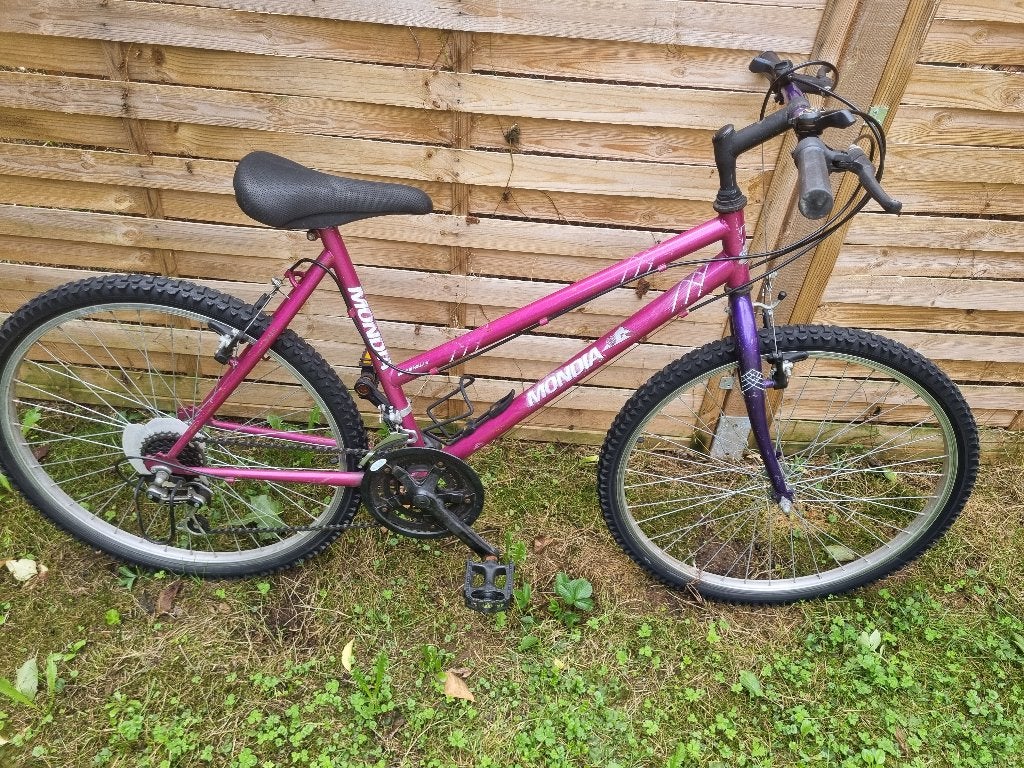 Vélo 26 Pouces, Vélos & Vélomoteurs, Enlèvement, Utilisé, 26 pouces