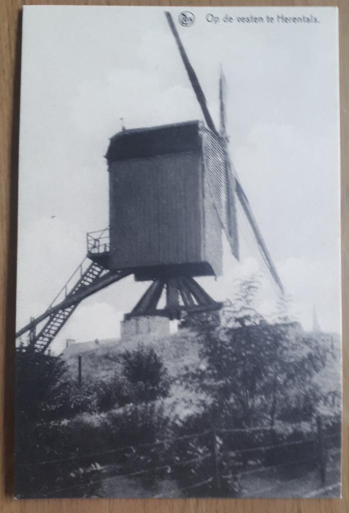 HERENTALS : Molen op de vesten uitg. Thill, Verzamelen, Verzenden, 1920 tot 1940, Ongelopen, Antwerpen