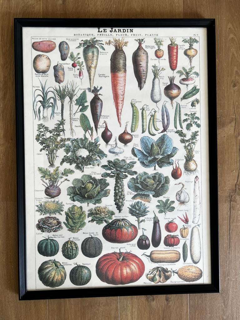 Poster avec cadre la jardin vintage, Enlèvement