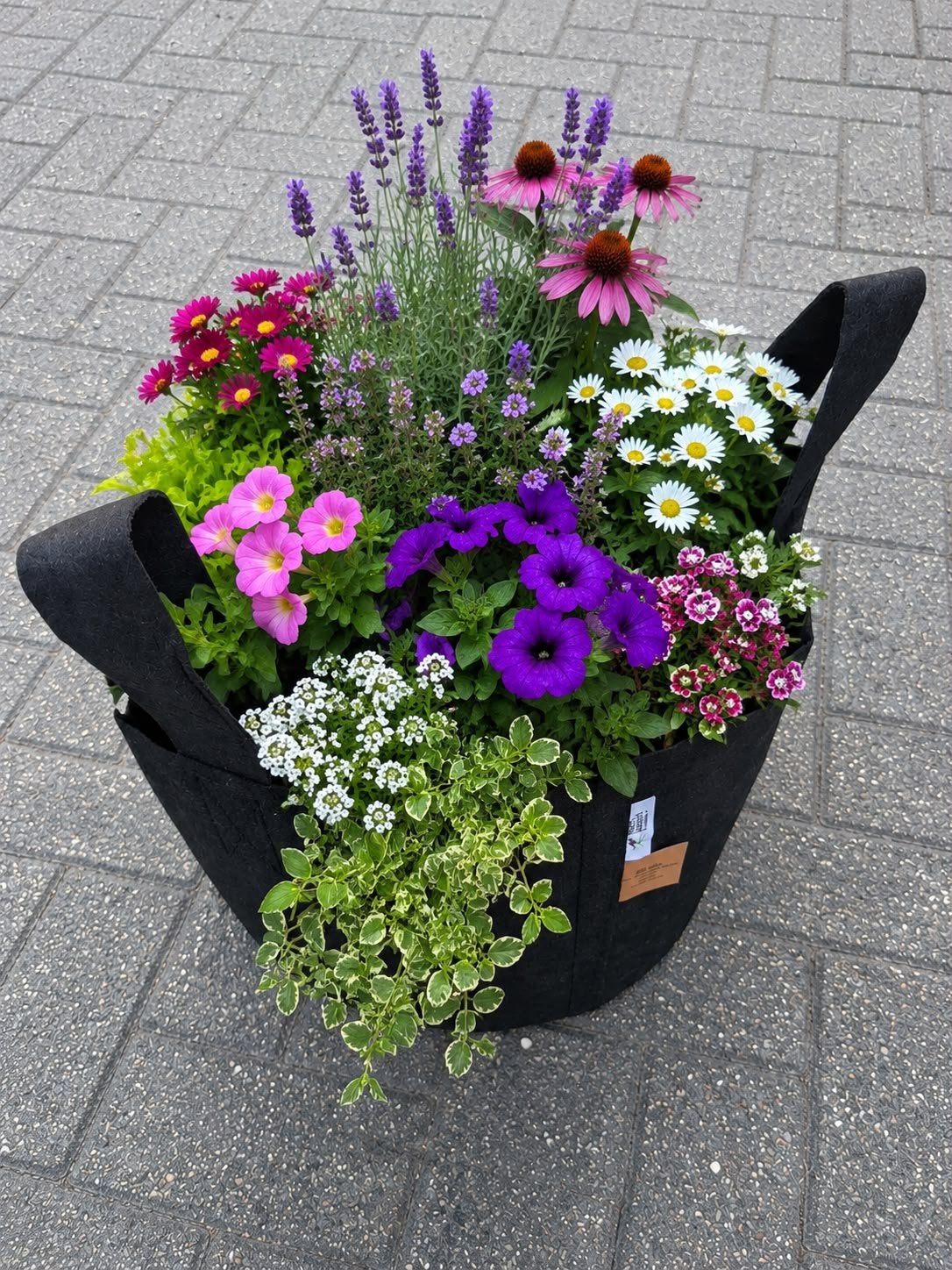 Sacs de culture Root Pouch 16 L (pots en tissu), Jardin & Terrasse, Enlèvement ou Envoi, Comme neuf