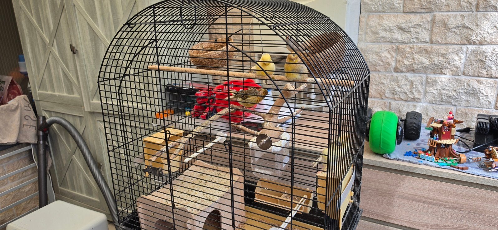 Grote vogelkooi met vogels.
