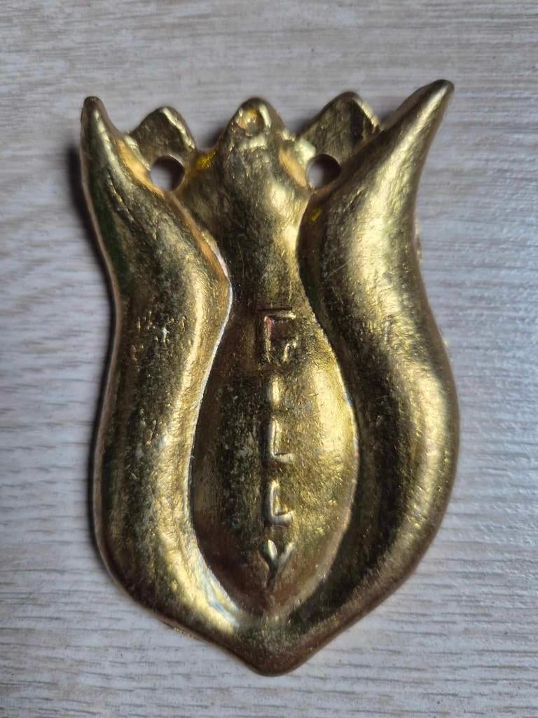 Carnaval Aalst medaille Bloemenfee Gilly 1976, Ophalen of Verzenden