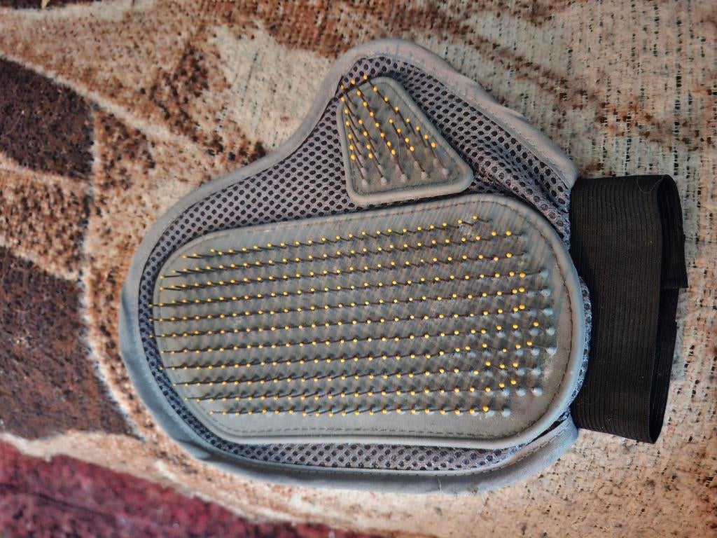 Brosse, gant et sac à friandises pour chien, Enlèvement ou Envoi, Neuf